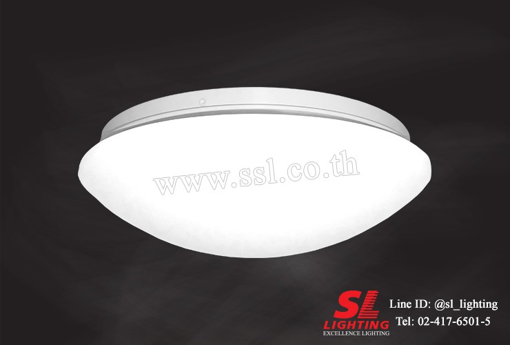 SL-4-6005-24W LED 6000K